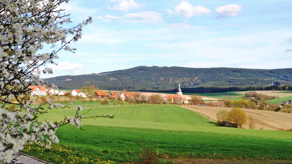 Neualbenreuth und der Tillenberg