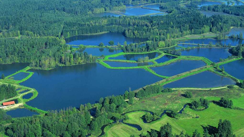 Land der tausend Teiche bei Tirschenreuth im Stiftland