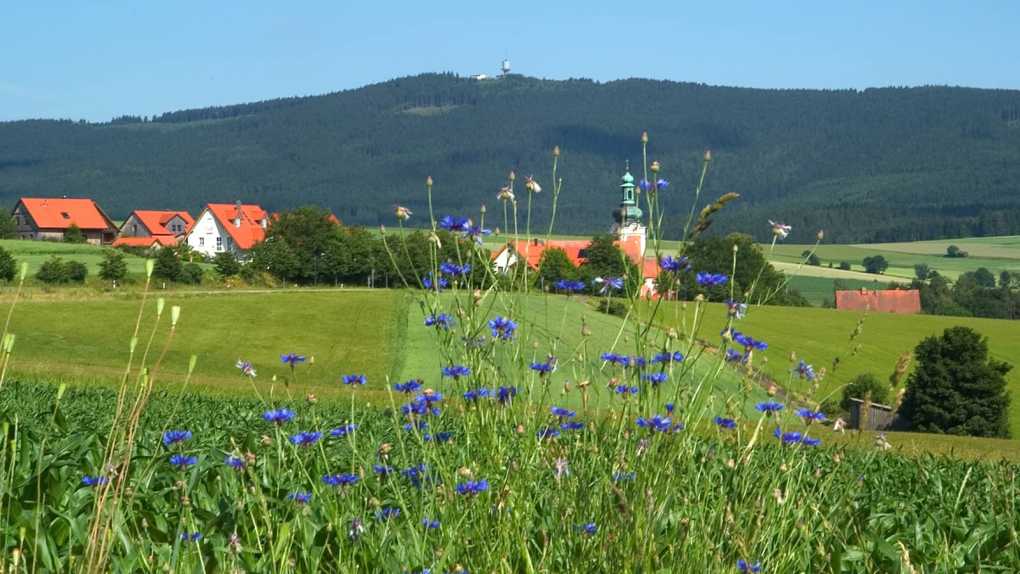 Neualbenreuth mit Tillenberg