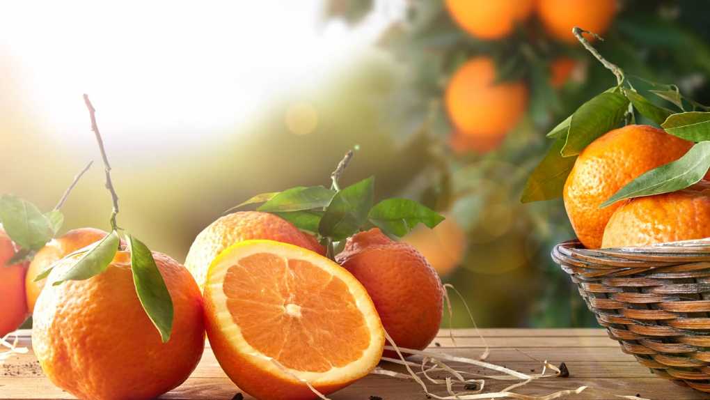 Orange-Mandarine