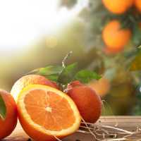 Orange-Mandarine