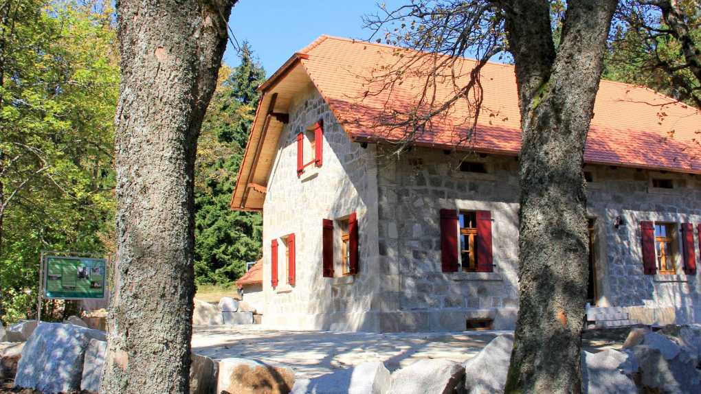 Waldhaus im Steinwald