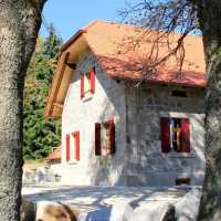 Waldhaus im Steinwald