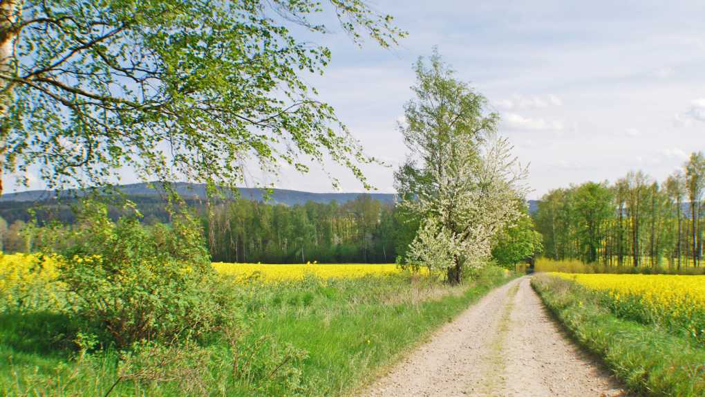 Wandern in Neualbenreuth-Sibyllenbad