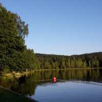 Großer Weiher Plößberg