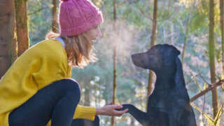 Gast mit Hund im Wald