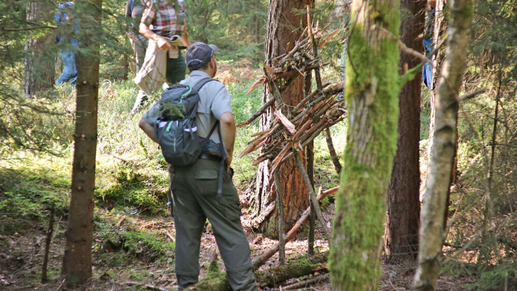 Wanderer im Wald